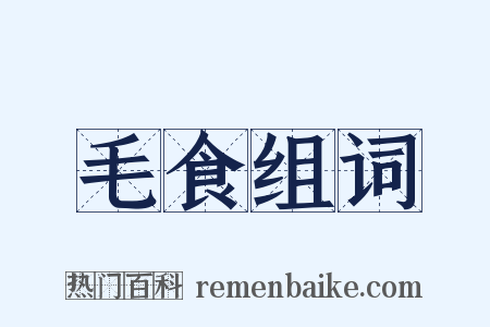 毛食组词是什么意思的图片